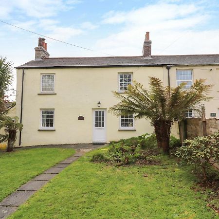 Oaktree Cottage سانت أوستيل المظهر الخارجي الصورة
